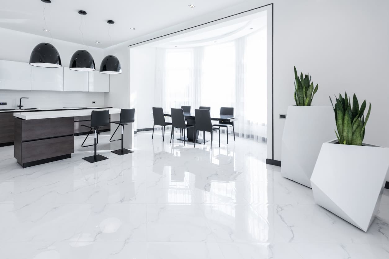 Spacious kitchen with modern furniture and dining area decorated with exotic plants